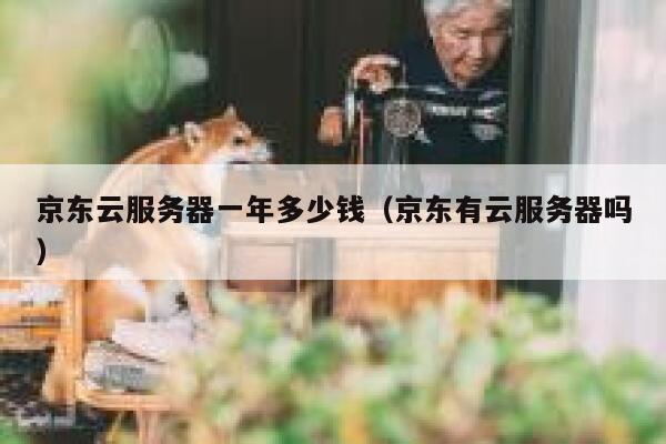 京东云服务器一年多少钱（京东有云服务器吗） 第1张