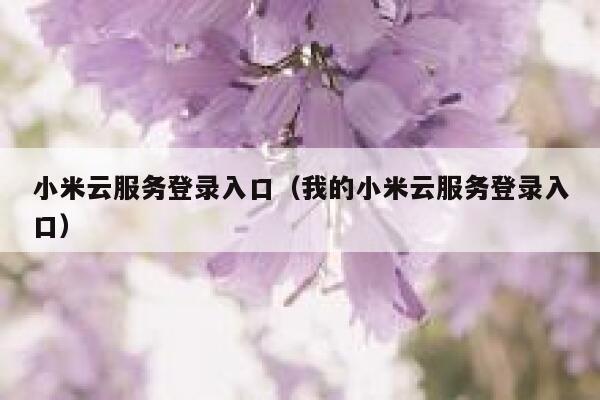小米云服务登录入口（我的小米云服务登录入口） 第1张