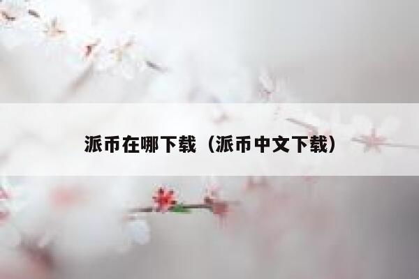 派币在哪下载（派币中文下载） 第1张