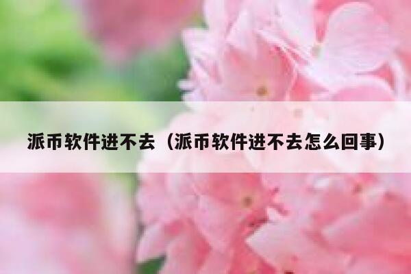 派币软件进不去（派币软件进不去怎么回事） 第1张
