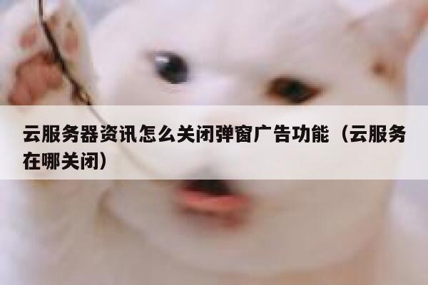 云服务器资讯怎么关闭弹窗广告功能（云服务在哪关闭） 第1张