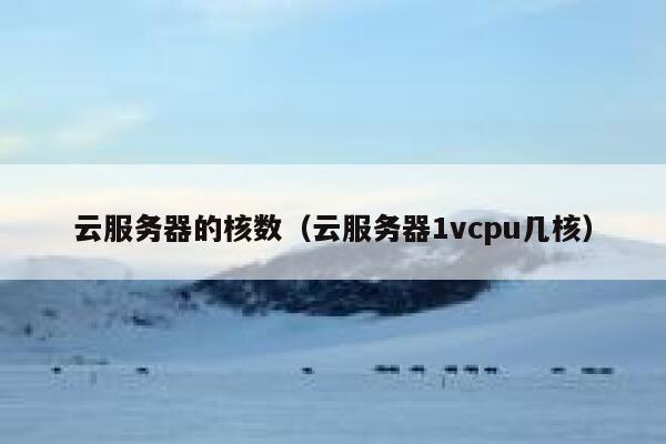 云服务器的核数（云服务器1vcpu几核） 第1张