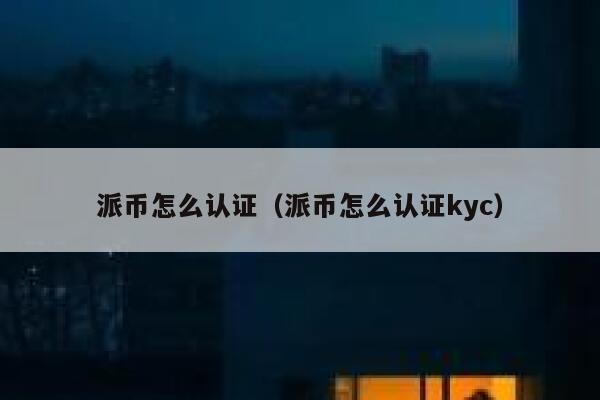 派币怎么认证（派币怎么认证kyc） 第1张