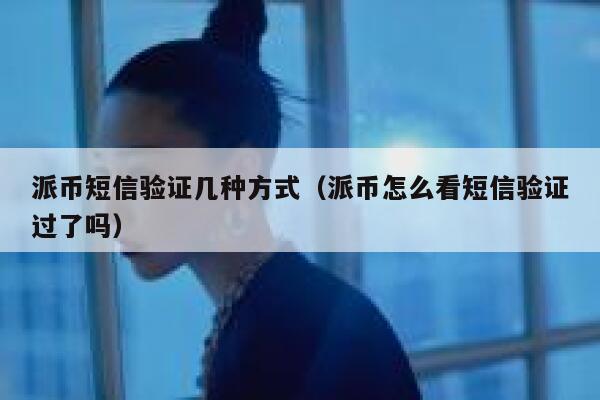 派币短信验证几种方式（派币怎么看短信验证过了吗） 第1张