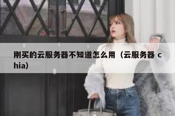 刚买的云服务器不知道怎么用（云服务器 chia） 第1张