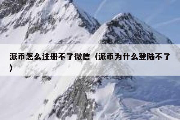 派币怎么注册不了微信（派币为什么登陆不了） 第1张