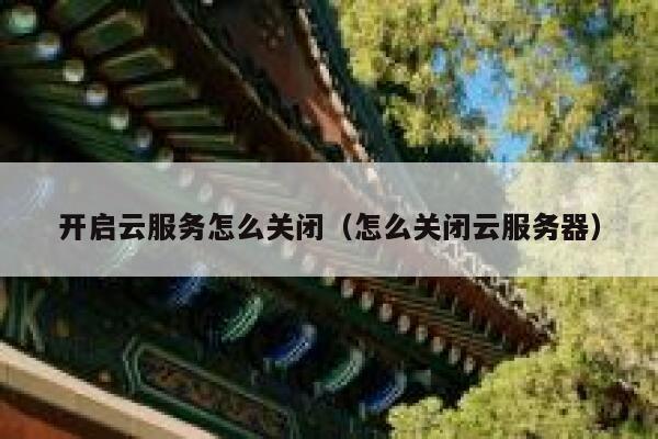 开启云服务怎么关闭（怎么关闭云服务器） 第1张