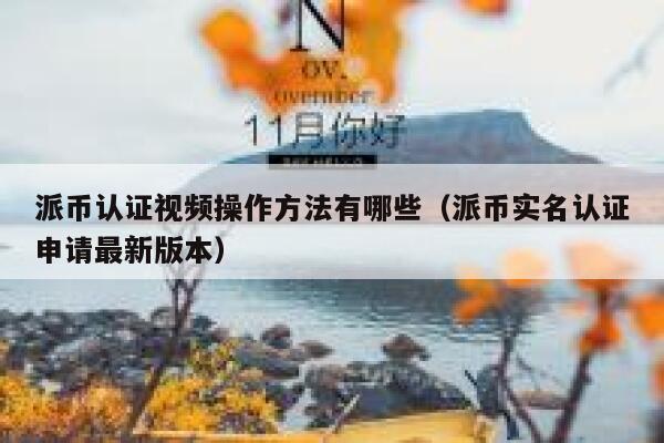 派币认证视频操作方法有哪些（派币实名认证申请最新版本） 第1张