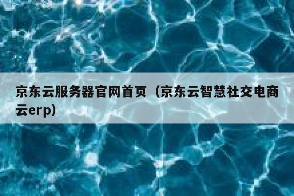 京东云服务器官网首页（京东云智慧社交电商云erp） 第1张