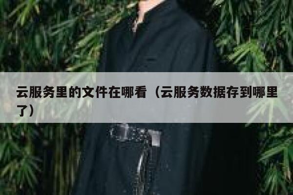 云服务里的文件在哪看（云服务数据存到哪里了） 第1张