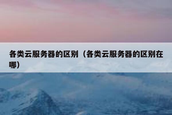 各类云服务器的区别（各类云服务器的区别在哪） 第1张