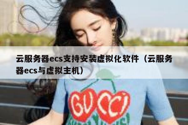 云服务器ecs支持安装虚拟化软件（云服务器ecs与虚拟主机） 第1张