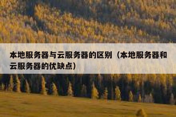 本地服务器与云服务器的区别（本地服务器和云服务器的优缺点） 第1张
