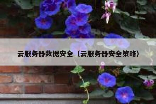 云服务器数据安全（云服务器安全策略） 第1张