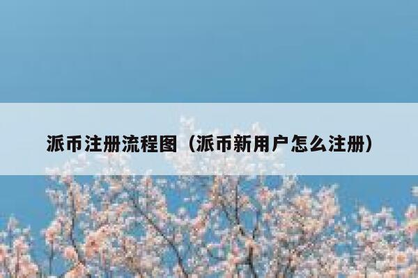 派币注册流程图（派币新用户怎么注册） 第1张