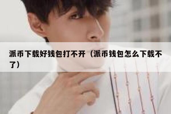 派币下载好钱包打不开（派币钱包怎么下载不了） 第1张
