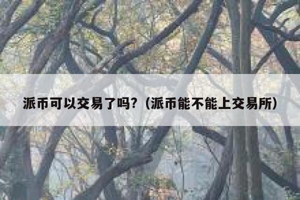 派币可以交易了吗?(派币能不能上交易所) 第1张 派币可以交易了吗?(派币能不能上交易所) 第1张