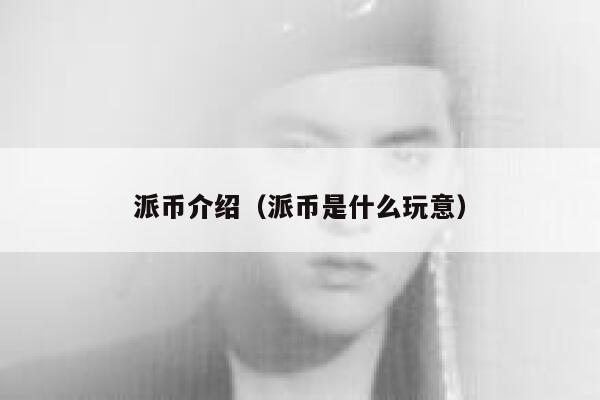 派币介绍(派币是什么玩意) 第1张 派币介绍(派币是什么玩意) 第1张