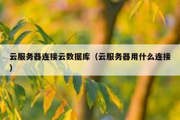 云服务器连接云数据库(云服务器用什么连接) 第1张 云服务器连接云数据库(云服务器用什么连接) 第1张