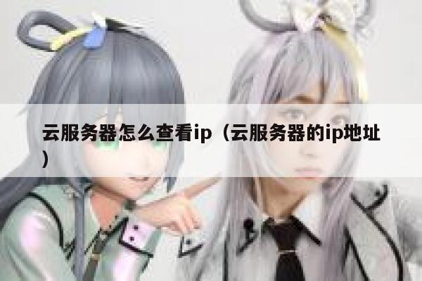 云服务器怎么查看ip（云服务器的ip地址） 第1张