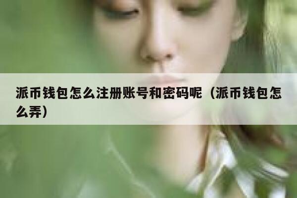 派币钱包怎么注册账号和密码呢（派币钱包怎么弄） 第1张