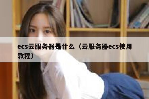 ecs云服务器是什么（云服务器ecs使用教程） 第1张