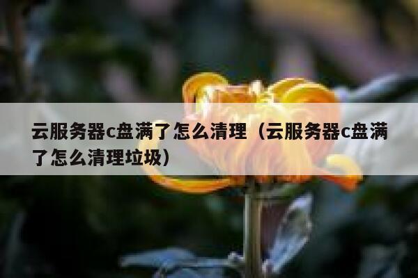 云服务器c盘满了怎么清理（云服务器c盘满了怎么清理垃圾） 第1张
