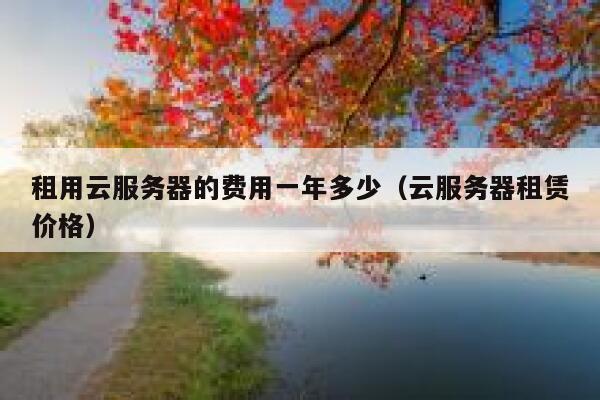 租用云服务器的费用一年多少（云服务器租赁价格） 第1张