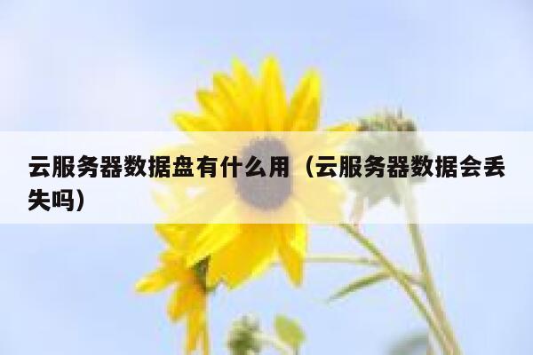 云服务器数据盘有什么用(云服务器数据会丢失吗) 第1张 云服务器数据盘有什么用(云服务器数据会丢失吗) 第1张