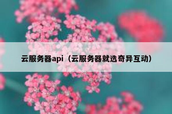 云服务器api(云服务器就选奇异互动) 第1张 云服务器api(云服务器就选奇异互动) 第1张