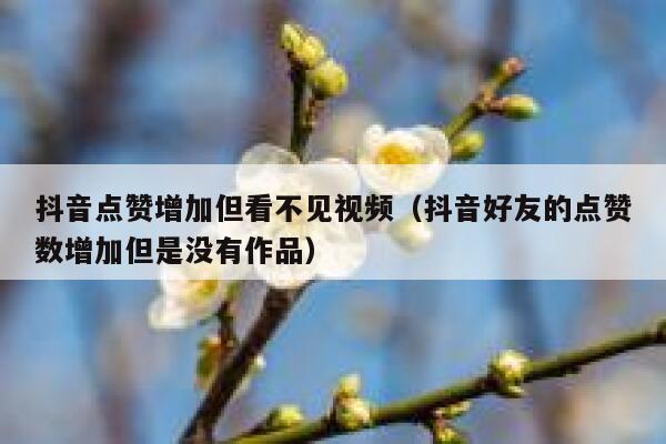 抖音点赞增加但看不见视频(抖音好友的点赞数增加但是没有作品) 第1张 抖音点赞增加但看不见视频(抖音好友的点赞数增加但是没有作品) 第1张