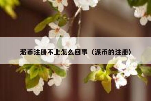 派币注册不上怎么回事（派币的注册） 第1张
