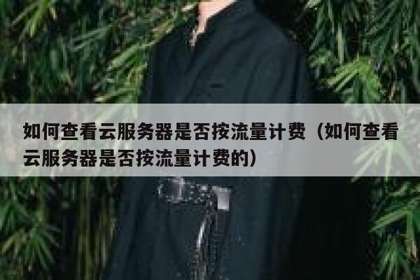 如何查看云服务器是否按流量计费（如何查看云服务器是否按流量计费的） 第1张