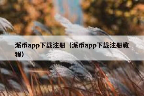 派币app下载注册（派币app下载注册教程） 第1张