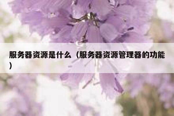 服务器资源是什么（服务器资源管理器的功能） 第1张
