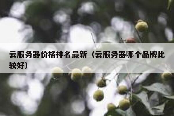 云服务器价格排名最新（云服务器哪个品牌比较好） 第1张