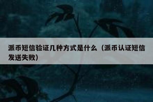 派币短信验证几种方式是什么（派币认证短信发送失败） 第1张
