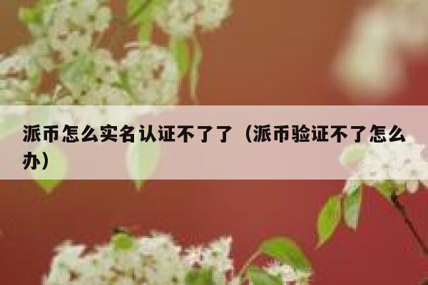 派币怎么实名认证不了了（派币验证不了怎么办） 第1张