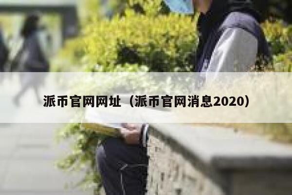 派币官网网址（派币官网消息2020） 第1张