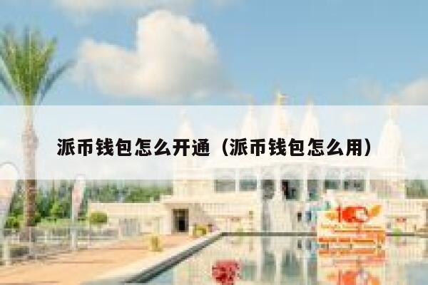 派币钱包怎么开通（派币钱包怎么用） 第1张