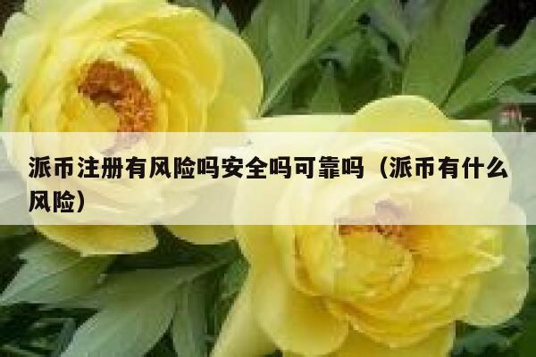 派币注册有风险吗安全吗可靠吗（派币有什么风险） 第1张