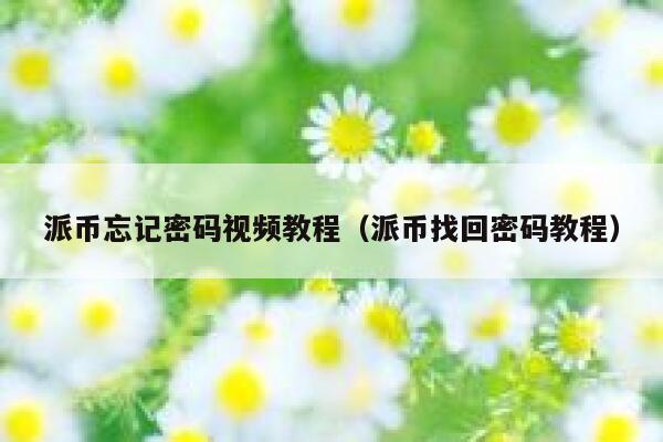 派币忘记密码视频教程（派币找回密码教程） 第1张