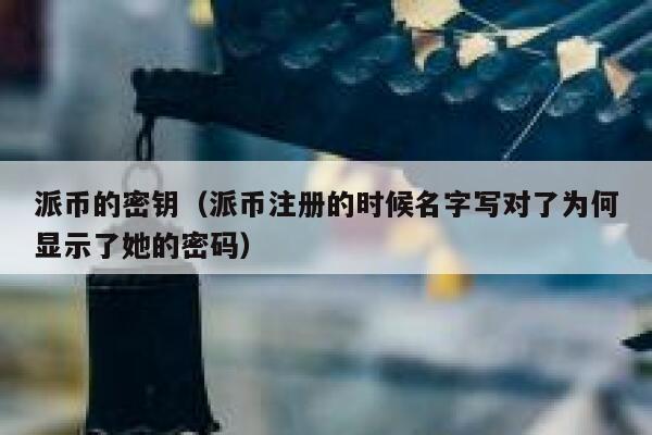 派币的密钥（派币注册的时候名字写对了为何显示了她的密码） 第1张