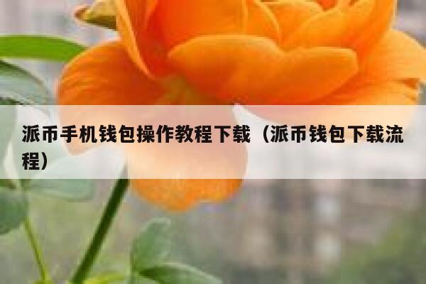 派币手机钱包操作教程下载（派币钱包下载流程） 第1张