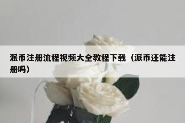 派币注册流程视频大全教程下载（派币还能注册吗） 第1张