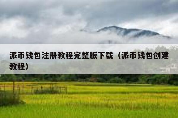 派币钱包注册教程完整版下载（派币钱包创建教程） 第1张