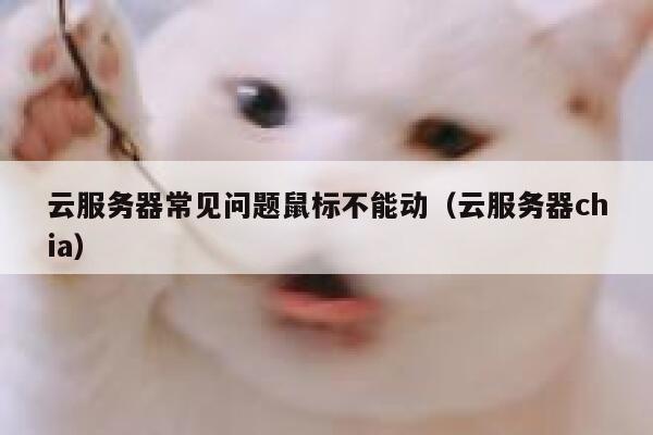 云服务器常见问题鼠标不能动(云服务器chia) 第1张 云服务器常见问题鼠标不能动(云服务器chia) 第1张