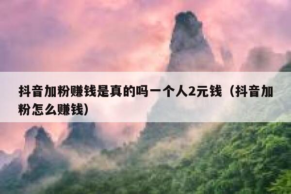 抖音加粉赚钱是真的吗一个人2元钱（抖音加粉怎么赚钱） 第1张
