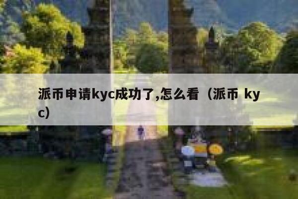 派币申请kyc成功了,怎么看(派币 kyc) 第1张 派币申请kyc成功了,怎么看(派币 kyc) 第1张