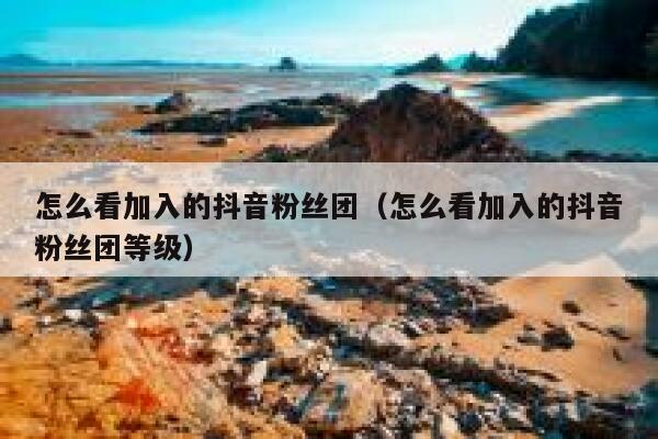 怎么看加入的抖音粉丝团(怎么看加入的抖音粉丝团等级) 第1张 怎么看加入的抖音粉丝团(怎么看加入的抖音粉丝团等级) 第1张